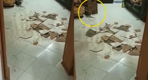 Keramik Rumah Tiba-tiba Meledak, Aksi Tenang Dua Penghuni Bikin Geleng Kepala