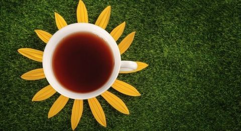3 Cara Minum Teh di Pagi Hari yang Menyehatkan Tubuh
