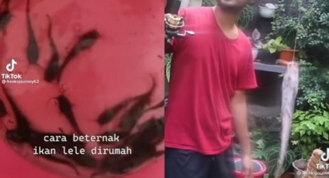 Pria Ini Bagikan Tutorial Ternak Ikan Lele Anti Mainstream, Bikin Warganet Geli