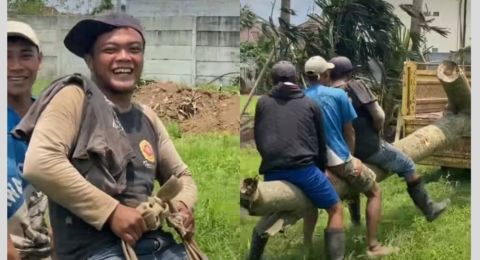 Bahagia Itu Sederhana! 3 Pekerja Ini Senang Banget Naik Pohon yang Diangkut Truk