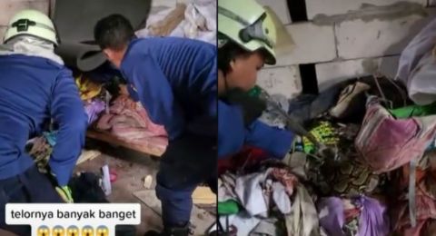 Aksi Damkar Evakuasi Ular Erami Telur di Dalam Rumah Bikin Heboh, Warganet: Saking Rajinnya Bersih-Bersih