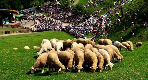 Taiwan Jadi Destinasi Incaran Wisatawan Indonesia, Kini Sudah Ramah Muslim!
