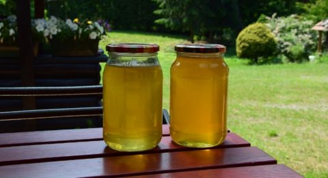 5 Manfaat Bawang Putih Plus Madu, Jangan dilewatkan!