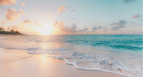 Dampak Pemanasan Global terhadap Ekosistem Pesisir Indonesia