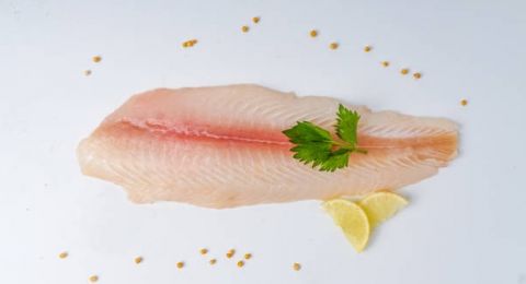 Selain Enak, Ikan Dori Memiliki 5 Manfaat Ini bagi Kesehatan Tubuh!