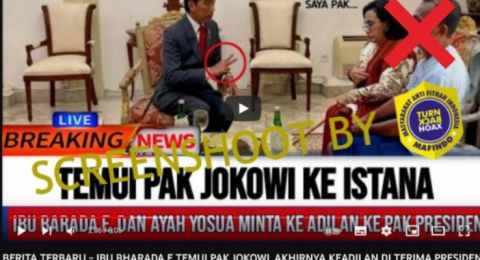 CEK FAKTA: Ibu Bharada E Temui Jokowi di Istana Demi Minta Keadilan, Benarkah?
