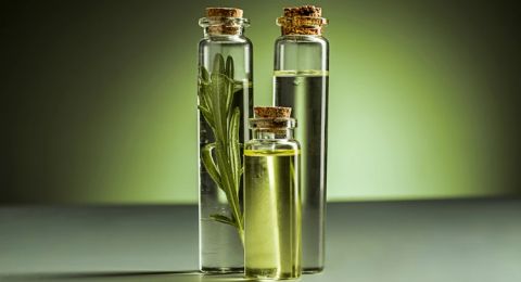 5 Khasiat Minyak Urang-aring bagi Kesehatan, Aromanya Bikin Pikiran Rileks