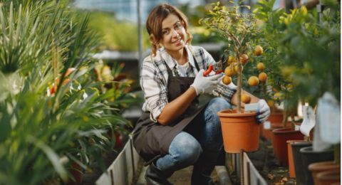 Mau Jadi 'Plant Parent' Sukses? Ini 10 Senjata Wajib Punya Biar Tanamannya Gak Mati Terus