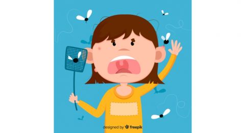 5 Cara Mudah Mengusir Lalat di Warung, Yuk Dicoba