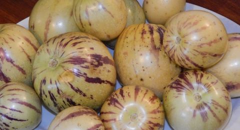 Dapat Mengontrol Tekanan Darah, Berikut 3 Manfaat Mengonsumsi Buah Pepino