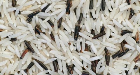 3 Jenis Beras yang Aman untuk Dikonsumsi Penderita Diabetes, Ada Basmati