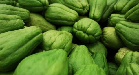 4 Efek Samping Mengonsumsi Labu Siam, Salah Satunya Bisa Timbulkan Alergi