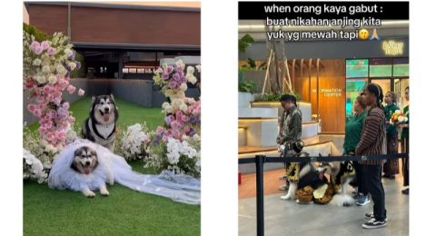 Viral! Pernikahan Anjing Pakai Adat Jawa, Habiskan Kocek hingga Rp200 Juta