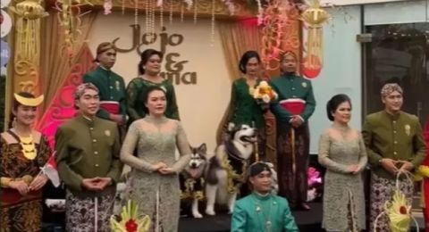 Penyelenggara Pernikahan Anjing Pakai Adat Jawa Akhirnya Minta Maaf, Tuai Pro Kontra
