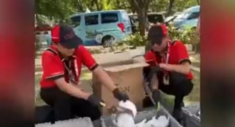 Baso A Fung Bali Hancurkan Seluruh Mangkuk Imbas Tamu Makan Kerupuk Babi