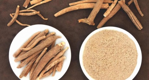 6 Manfaat Ashwagandha, Obat Herbal dari Dunia Ayurveda