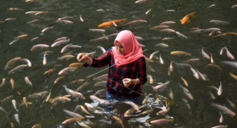 Umbul Senjoyo, Wisata Air yang Sejuk di Lereng Gunung Merbabu Salatiga
