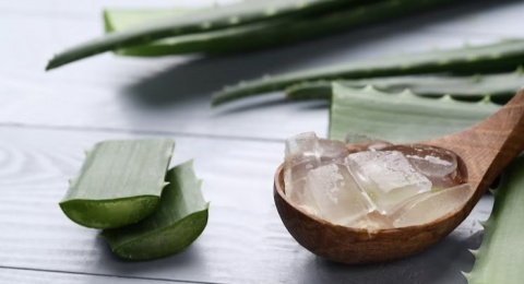 4 Rekomendasi Skincare dengan Kandungan Aloe Vera, Ampuh Lembapkan Kulit!