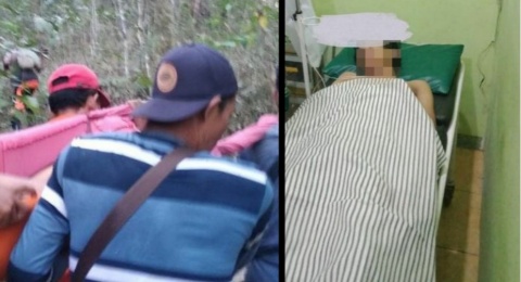Ngambek Tak Dibelikan HP Baru, Remaja Ini Kabur ke Hutan Berhari-hari Berujung Masuk Klinik
