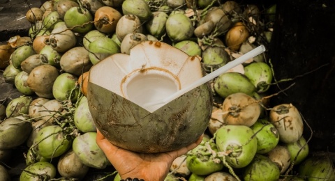 Tidak Hanya Sebagai Sumber Air, Berikut 3 Manfaat dari Air Kelapa