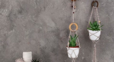 5 Tanaman Hias Gantung yang Mudah Dirawat, Tidak Butuh Disiram Banyak Air