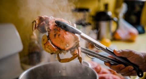 Tagihan Makan Jebol Gegara Menu Kepiting, Turis Jepang Ini Ngadu ke Polisi