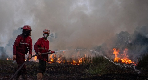 Dampak Karhutla di Indonesia, Singapura Was-Was dan Malaysia Layangkan Protes