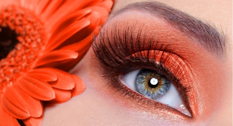 4 Tips Padukan Eyeshadow Sesuai Warna Mata untuk Hasil On Point