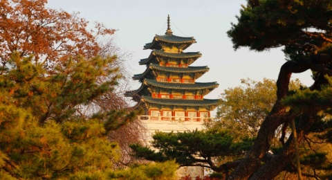 Siap-siap! Beasiswa Studi S2/S3 ke Korea Selatan Dibuka Oktober 2023