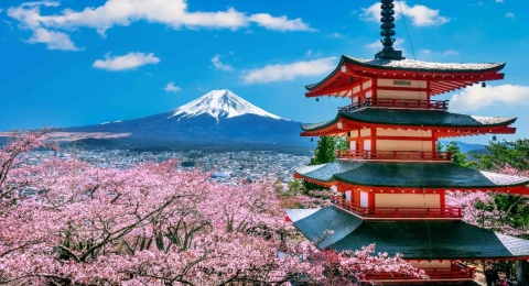 Masih Dibuka! Beasiswa OIST Research Internship Program ke Jepang, Akomodasi Apartemen