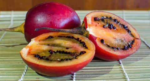 Kaya Kandungan Vitamin, Ini 3 Manfaat Mengonsumsi Terong Belanda untuk Kesehatan