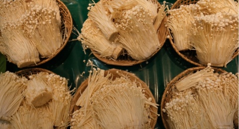 Perlu Diperhatikan, Berikut 3 Tips Mengolah Jamur Enoki dengan Aman