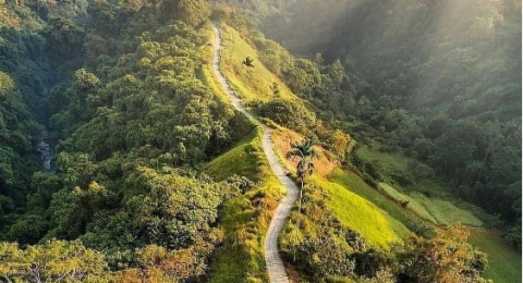 Campuhan Ridge Walk di Bali, Wisata Alam yang Menjadi Surganya Banyak Pendaki