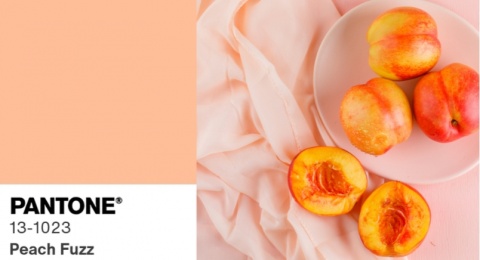 Peach Fuzz, Tren Warna Tahun 2024 yang Hangat dan Anggun