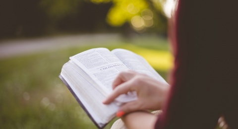 Job Seeker Ngumpul, 5 Bahasa Asing Ini Bisa Bikin Kamu Cepat Dapat Kerja