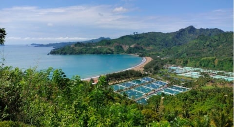 Pantai Midodaren Tulungagung, Seperti Pantainya Bidadari