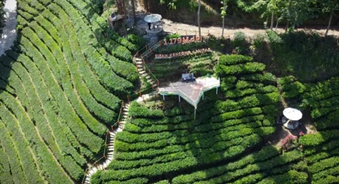 Sirah Kencong Blitar, Wisata dan Tempat Ngopi di Puncak Perkebunan Teh