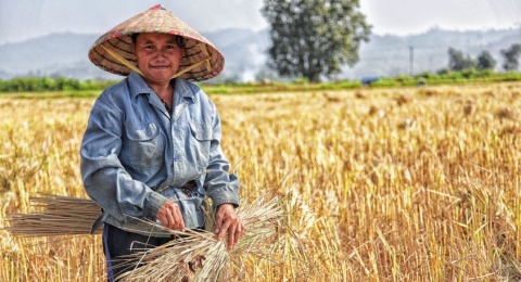 Bagaimana Teknologi Ramah Lingkungan Bisa Bantu Petani Kurangi Emisi dan Biaya Produksi?