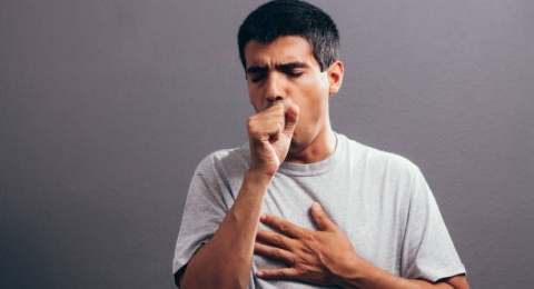 3 Bahan Alami yang Dapat Meredakan Batuk Pilek, Salah Satunya Madu