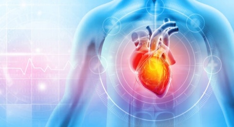 3 Nutrisi yang Bisa Rutin Kamu Konsumsi Bila Ingin Jantungmu Sehat