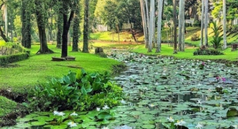 6 Spot Seru untuk Menikmati Kesejukan di Tengah Panasnya Jakarta