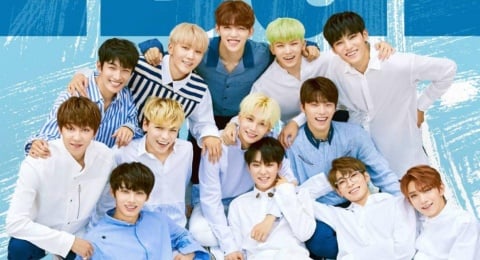 Menyikap Arti Lagu SEVENTEEN 'Habit': Elegi Rindu yang Tak Pernah Padam