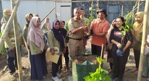 Kolaborasi Kampus dan Petani: Gerakan Nasional Budidaya Anggur di Yogyakarta