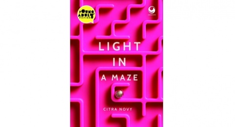 Labirin Hidup Tentang Amnesia, Kematian, dan Pernikahan dalam Buku Light In A Maze