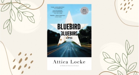 Ulasan Novel 'Bluebird, Bluebird'; Mengetahui Kesenjangan Sosial di Amerika