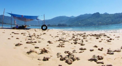 Pantai Carolina, Eksotisme Pasir Putih yang Bersanding dengan Air Laut Biru