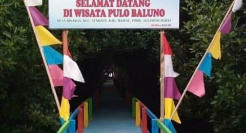 Wisata Pulo Baluno, Destinasi Wisata Mangrove yang Memesona di Majene