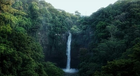 Coban Baung, Keindahan Air Terjun di Tengah Alam Pasuruan yang Asri