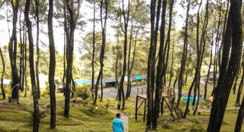 Ujung Aspal Purwakarta, Wisata Hutan Pinus dengan Suasana Sejuk Menyegarkan