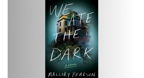 Ulasan Novel We Ate the Dark: Misteri di Balik Kematian Saudara Kembar